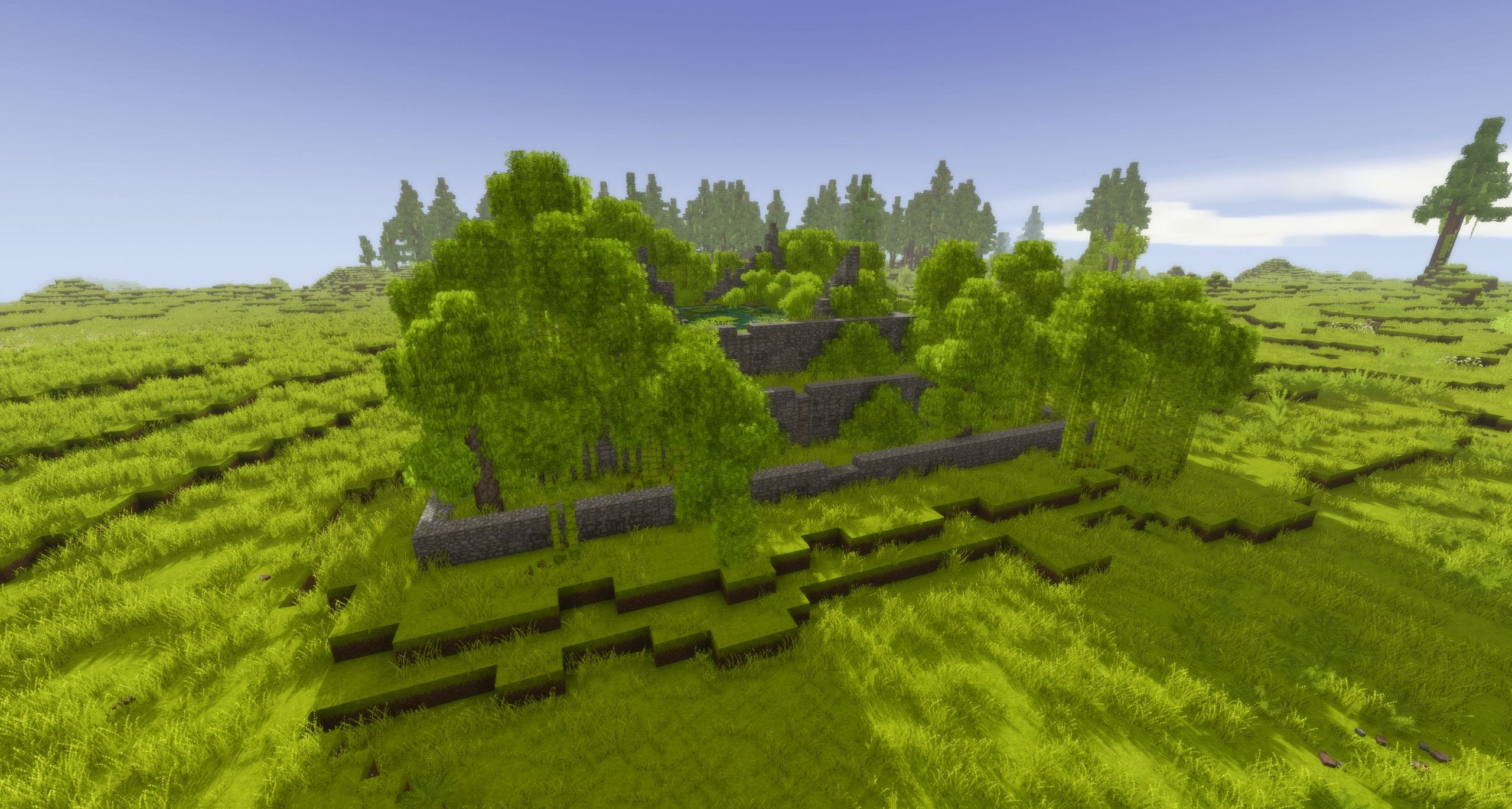 Large Oasis
